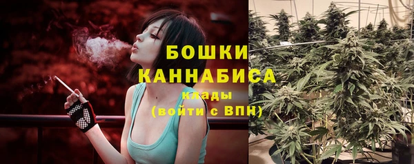кокс Михайлов