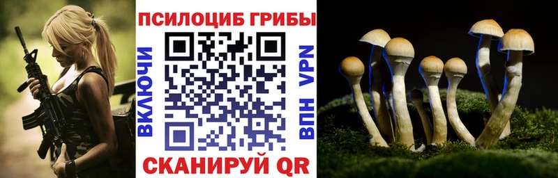 Галлюциногенные грибы ЛСД  Малая Вишера 